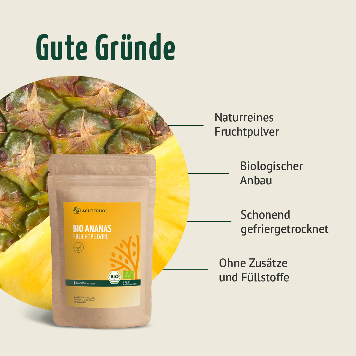 Bio Ananas Fruchtpulver (250g) - Image 5