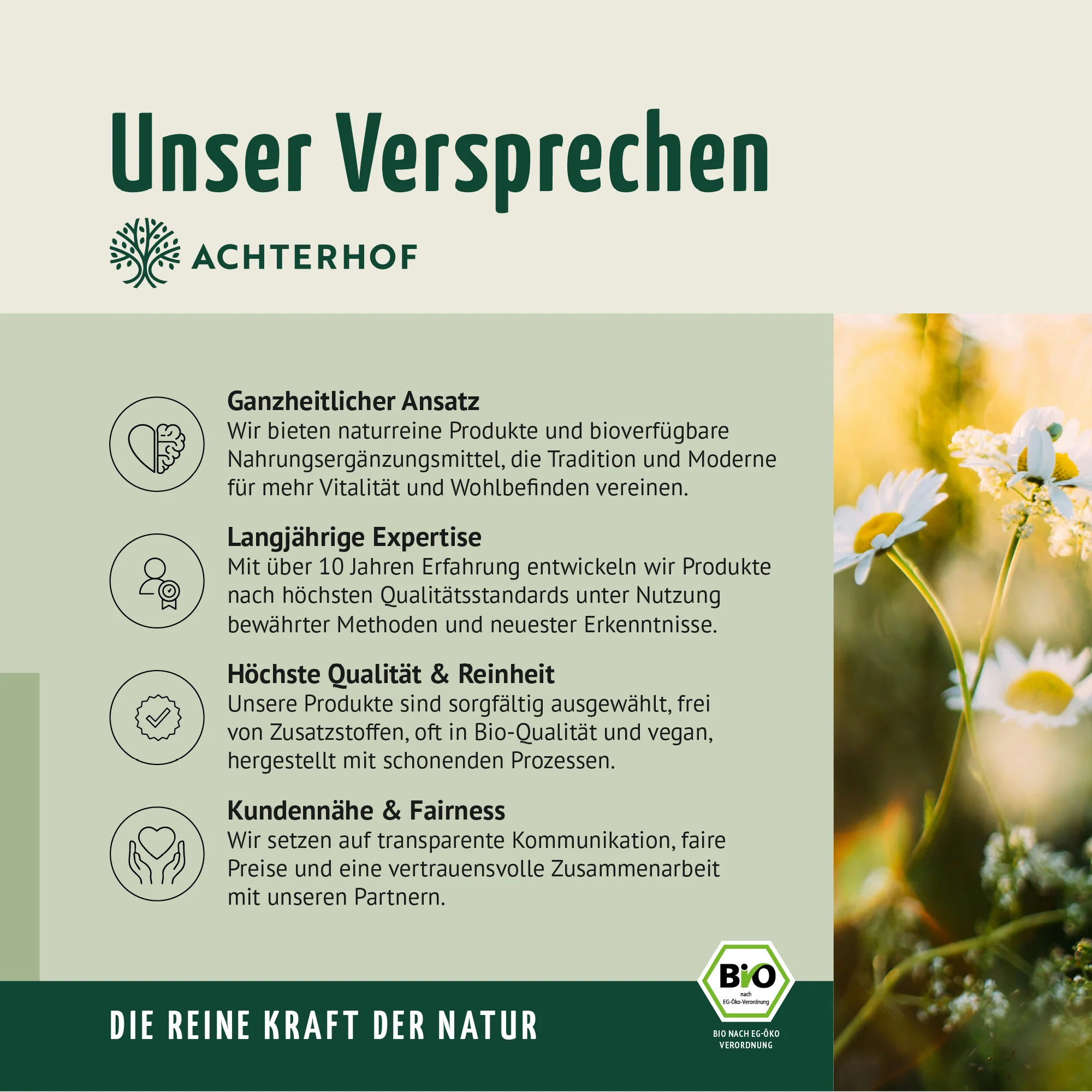 Bio Bitter Kräutermischung gemahlen (100g) - Image 7