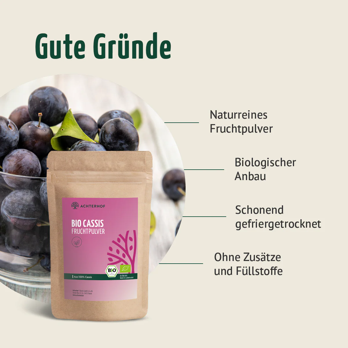 Bio Cassis Fruchtpulver (100g) - Image 6