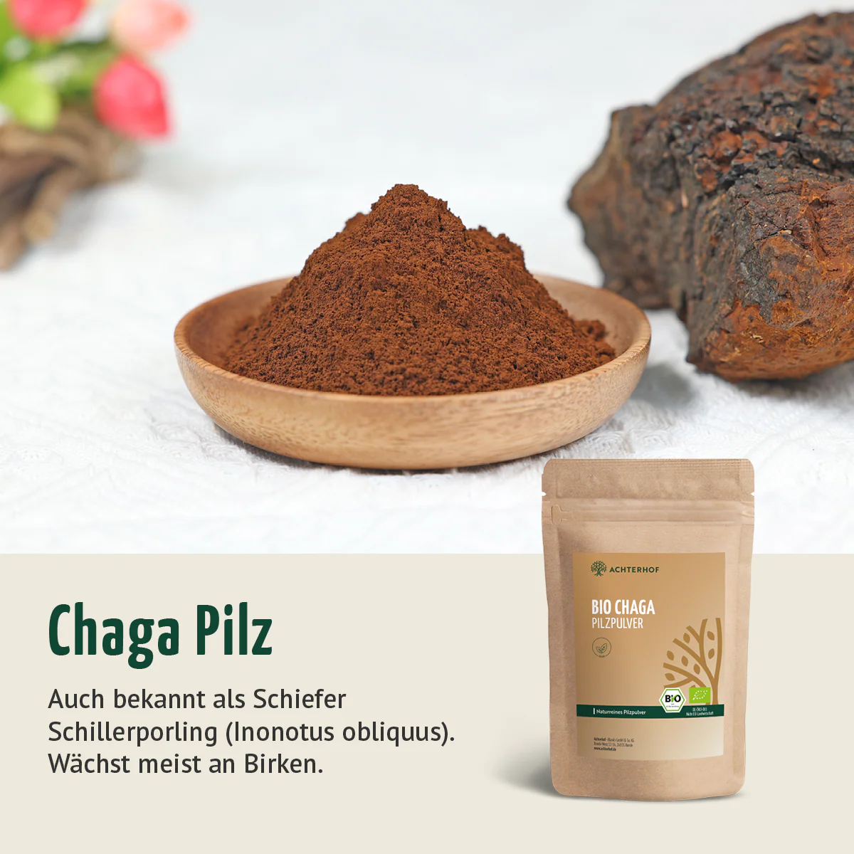 Bio Chaga Pilzpulver (100g) - Image 4