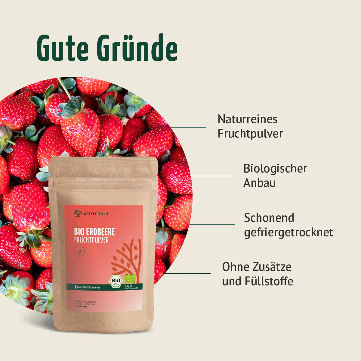 Bio Erdbeere Fruchtpulver (250g) - Image 5