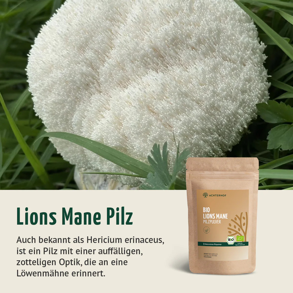 Bio Lions Mane Pilzpulver (100g) - Image 4