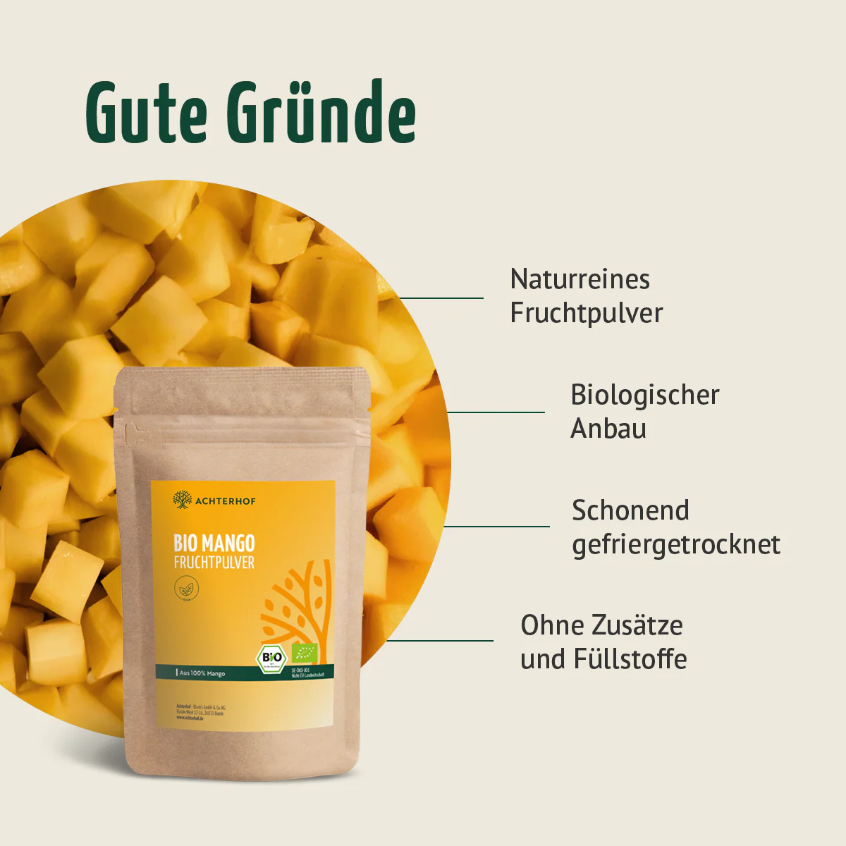 Bio Mango Fruchtpulver (250g) - Image 5