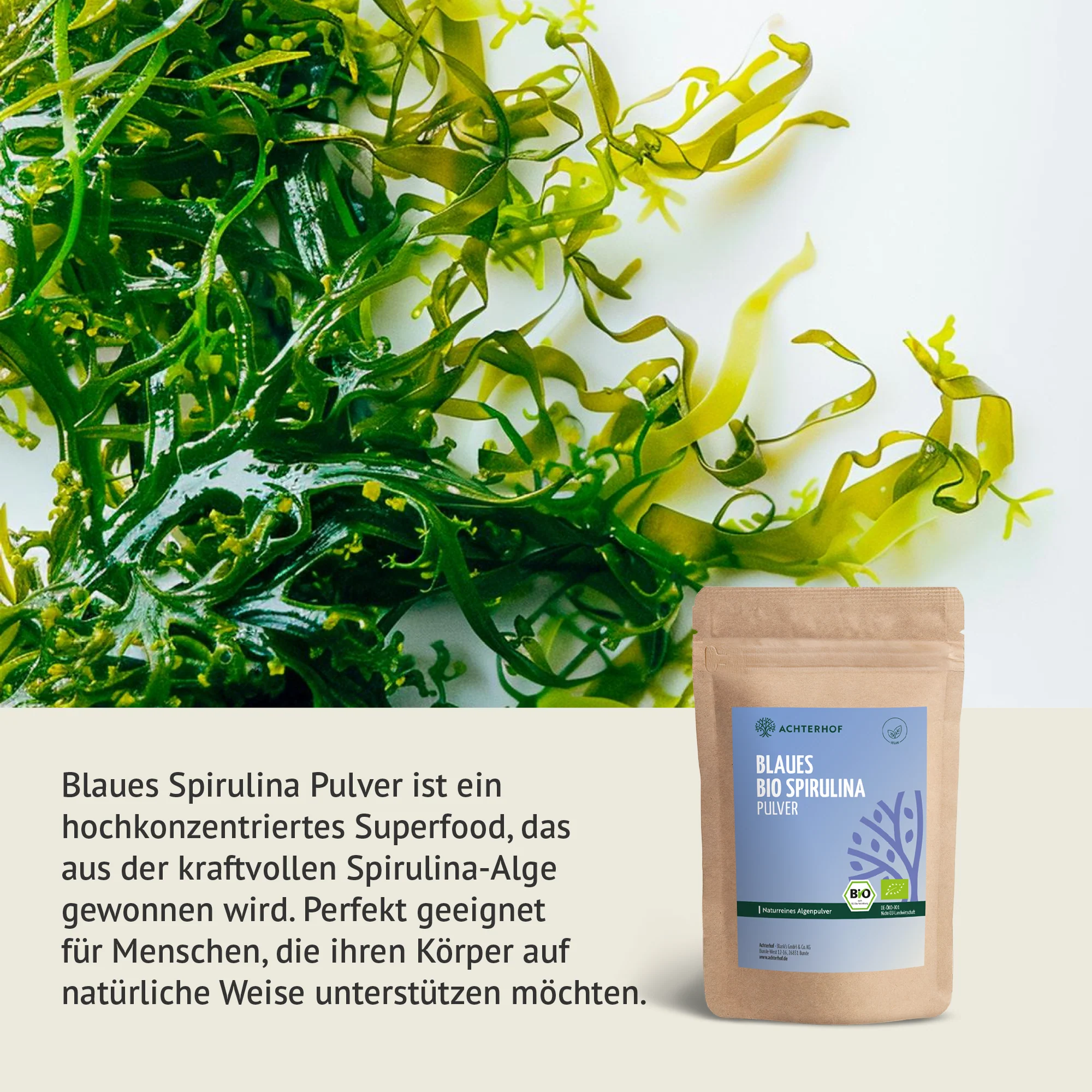 Blaues Bio Spirulina Pulver (100g) - Image 4