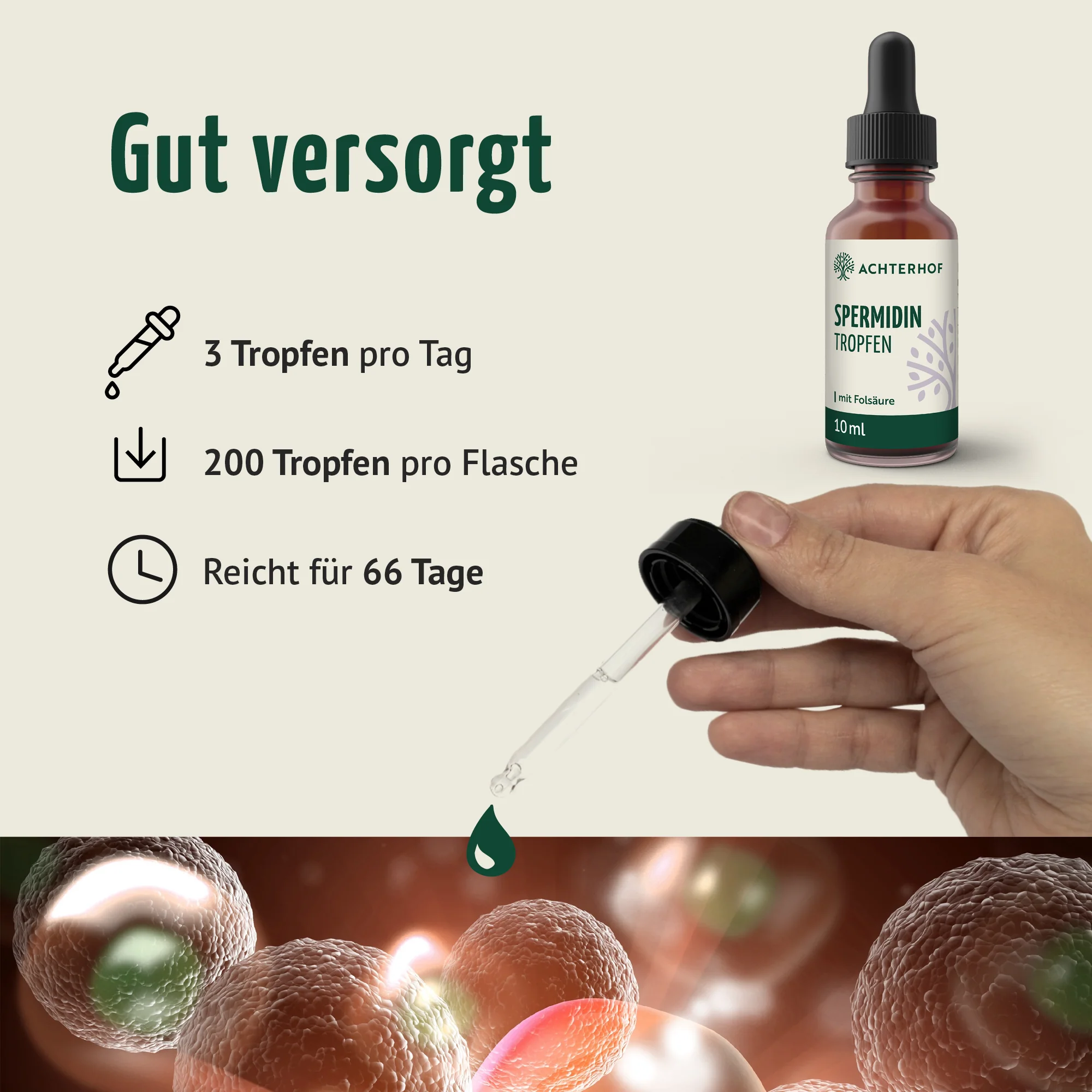 Essential Reds & Spermidin Tropfen Set - Image 9