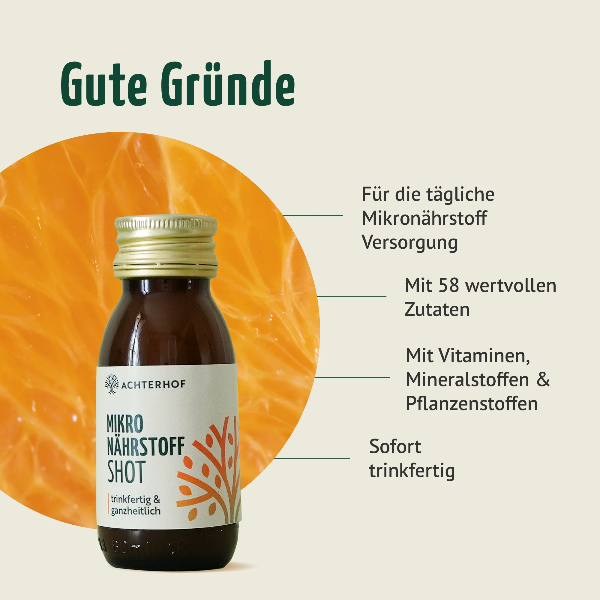 Fasten Mikronährstoff Paket - Image 8
