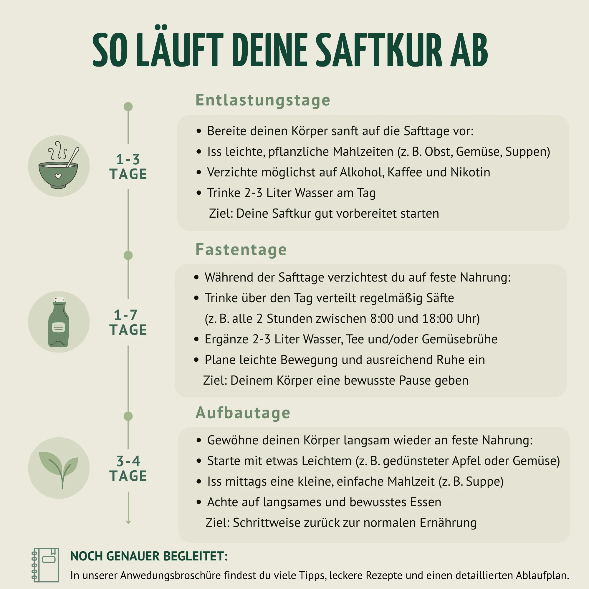 Kräuterwunder Bio Fastenkur 1-7 Tage (6 Flaschen pro Tag) - Image 4