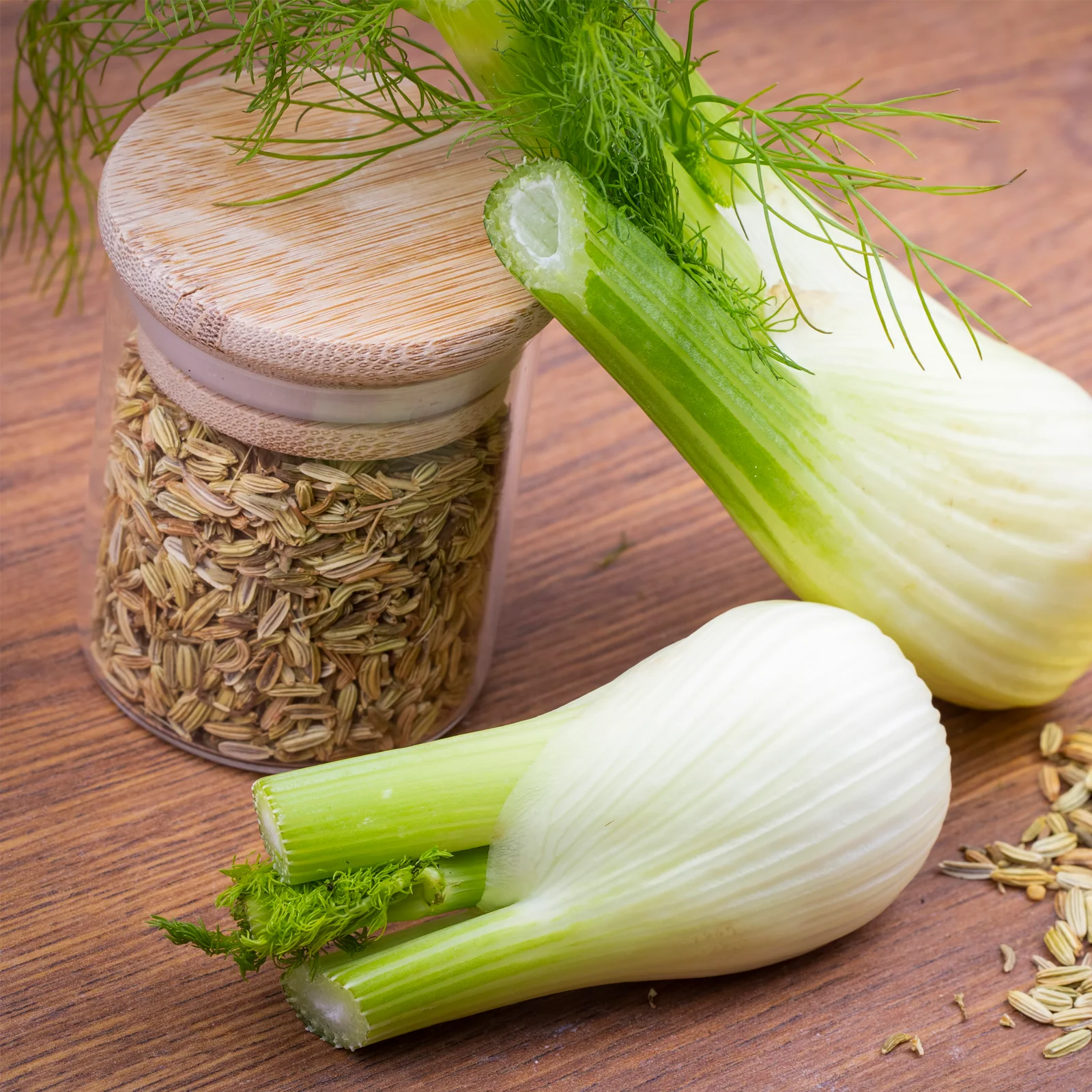 Fenchelsamen ganz (500g) - Image 6