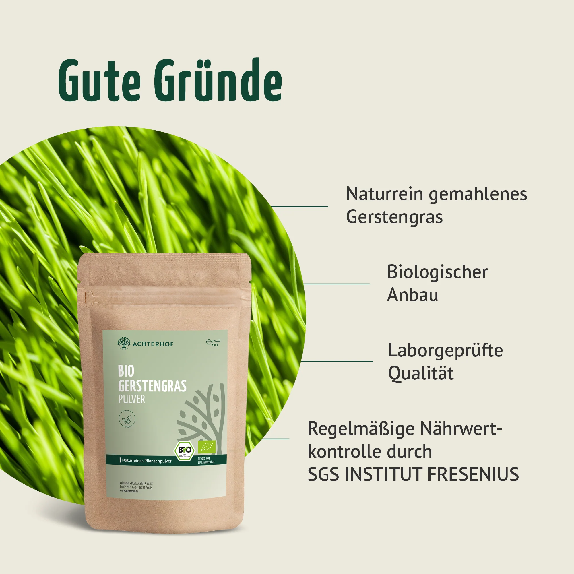 Bio Gerstengras Pulver (500g) - Image 6