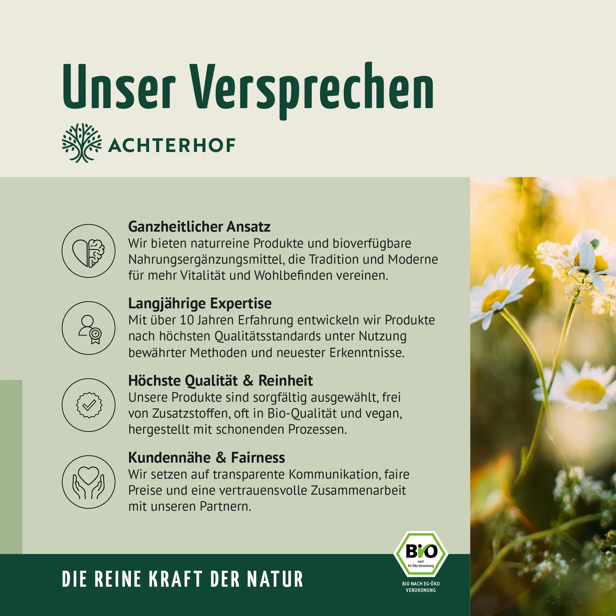 Bio Hagebutten Pulver (500g) - Image 12