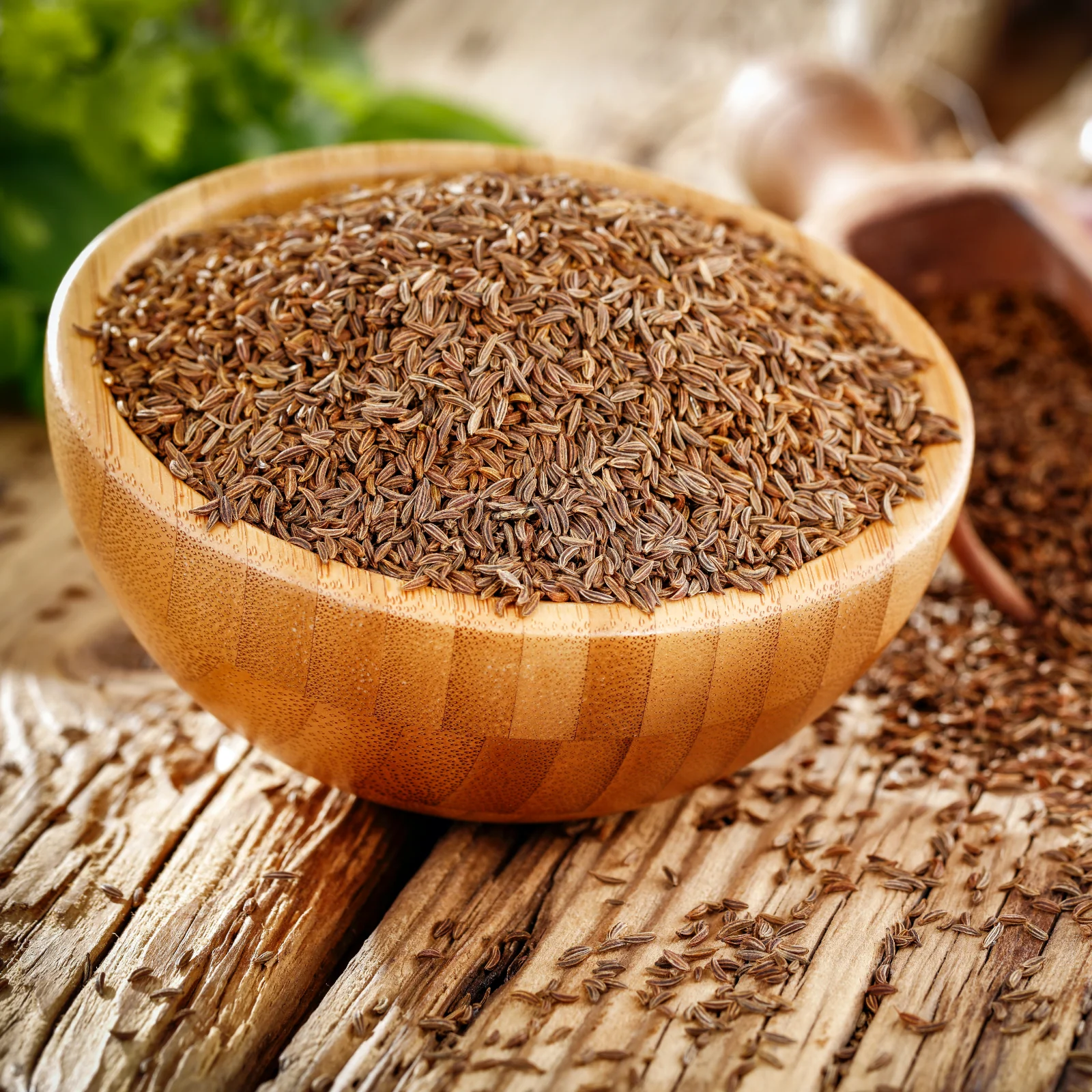 Kümmelsamen ganz Bio (500g) - Image 5