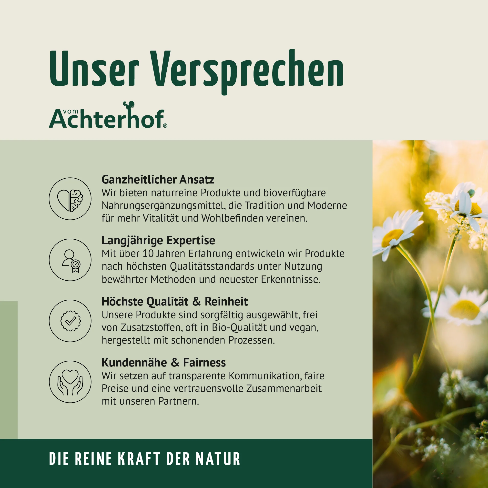 Pumpkin Spice Latte Gewürzmischung (100g) - Image 7