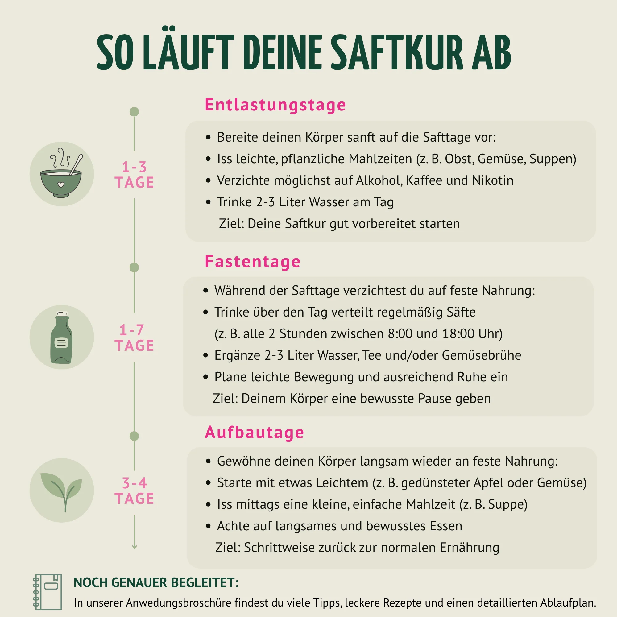 Saftstart Bio Fastenkur 1-7 Tage (6 Flaschen pro Tag) - Image 4