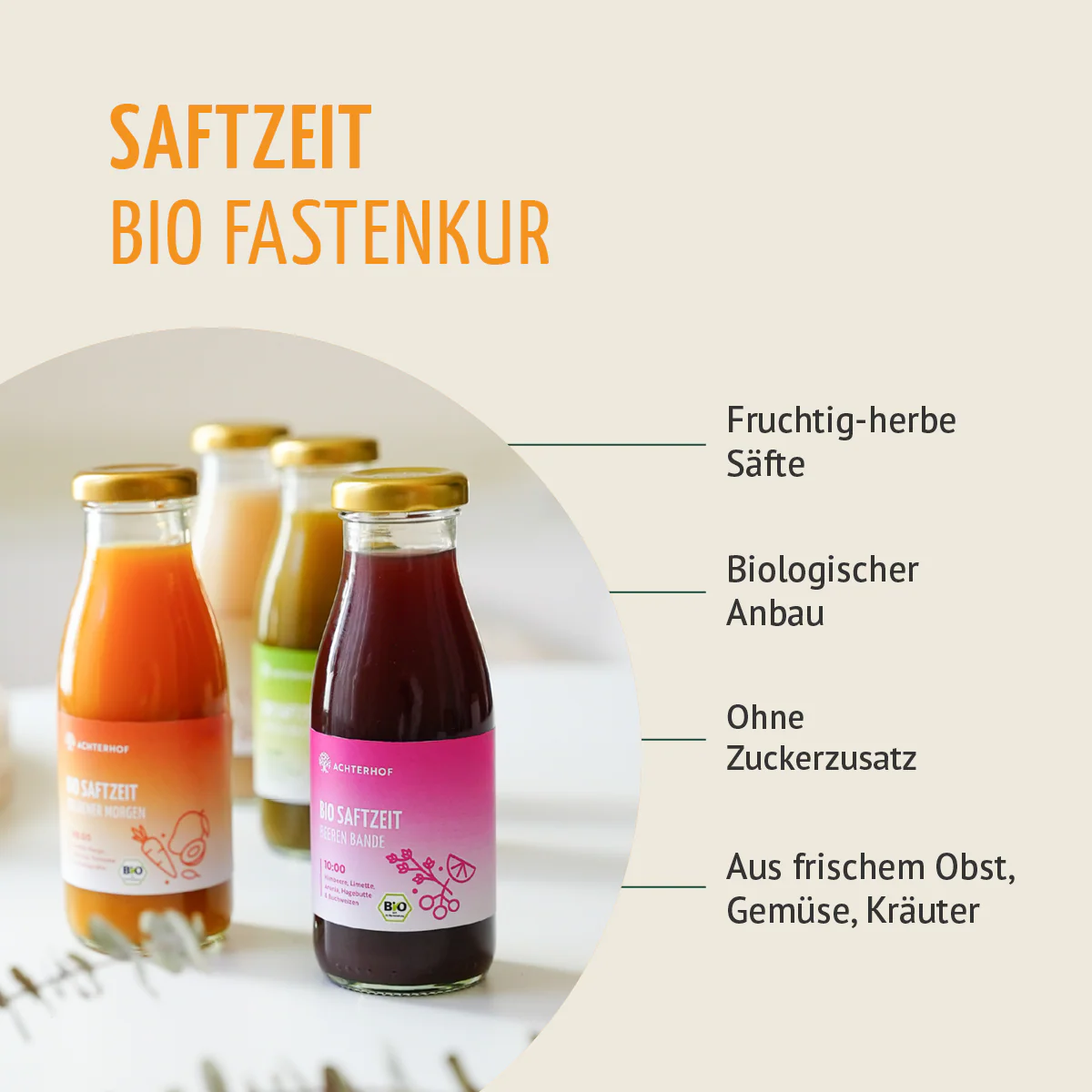 Saftzeit Bio Fastenkur 1-7 Tage (6 Flaschen pro Tag) - Image 5