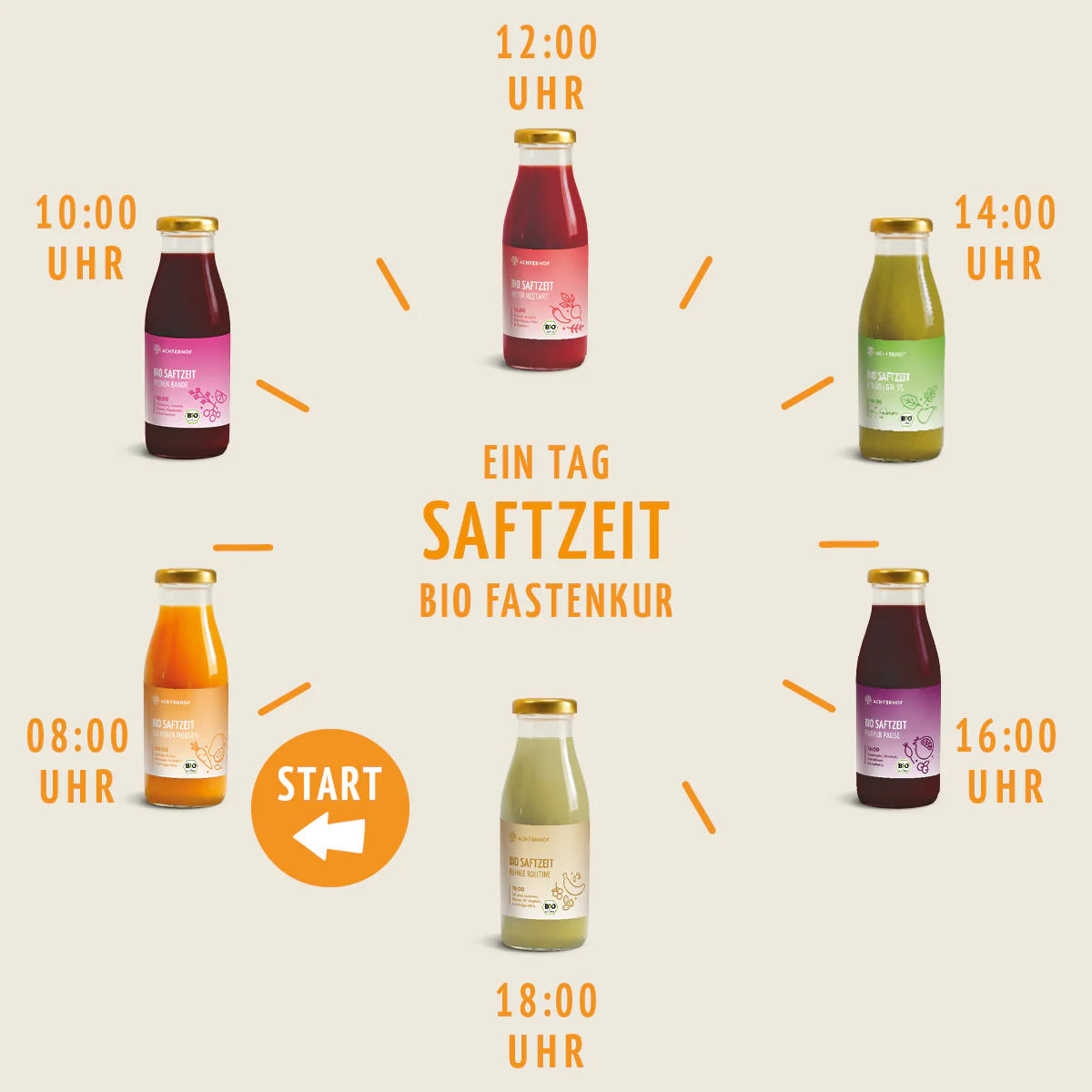 Saftzeit Bio Fastenkur 1-7 Tage (6 Flaschen pro Tag) - Image 8
