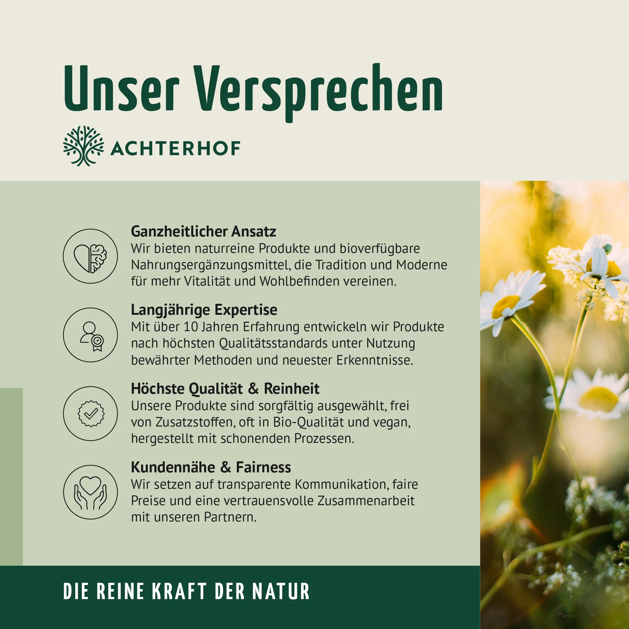 Vitamin Mineral Komplex (150 Kapseln) - Image 9